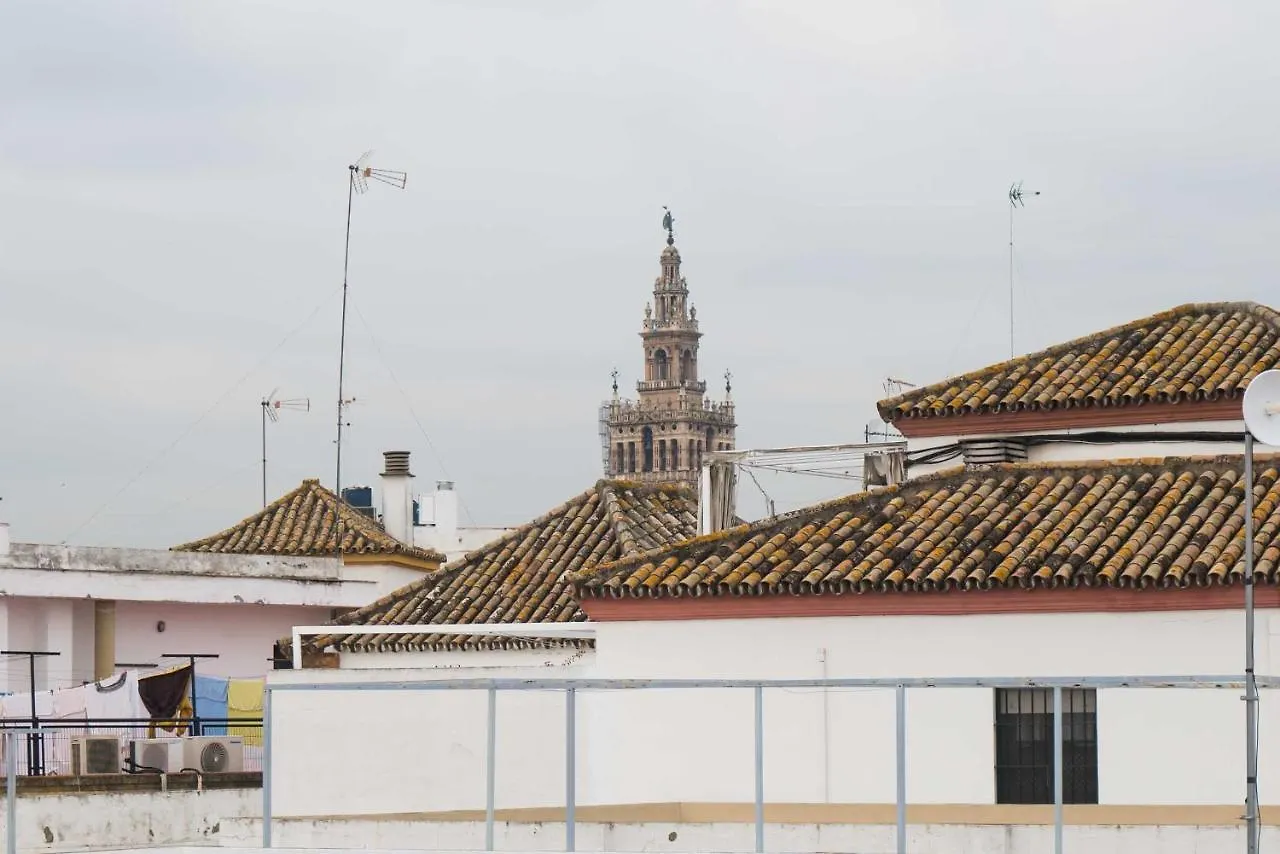 Optimus Conde De Ibarra Daire Sevilla
